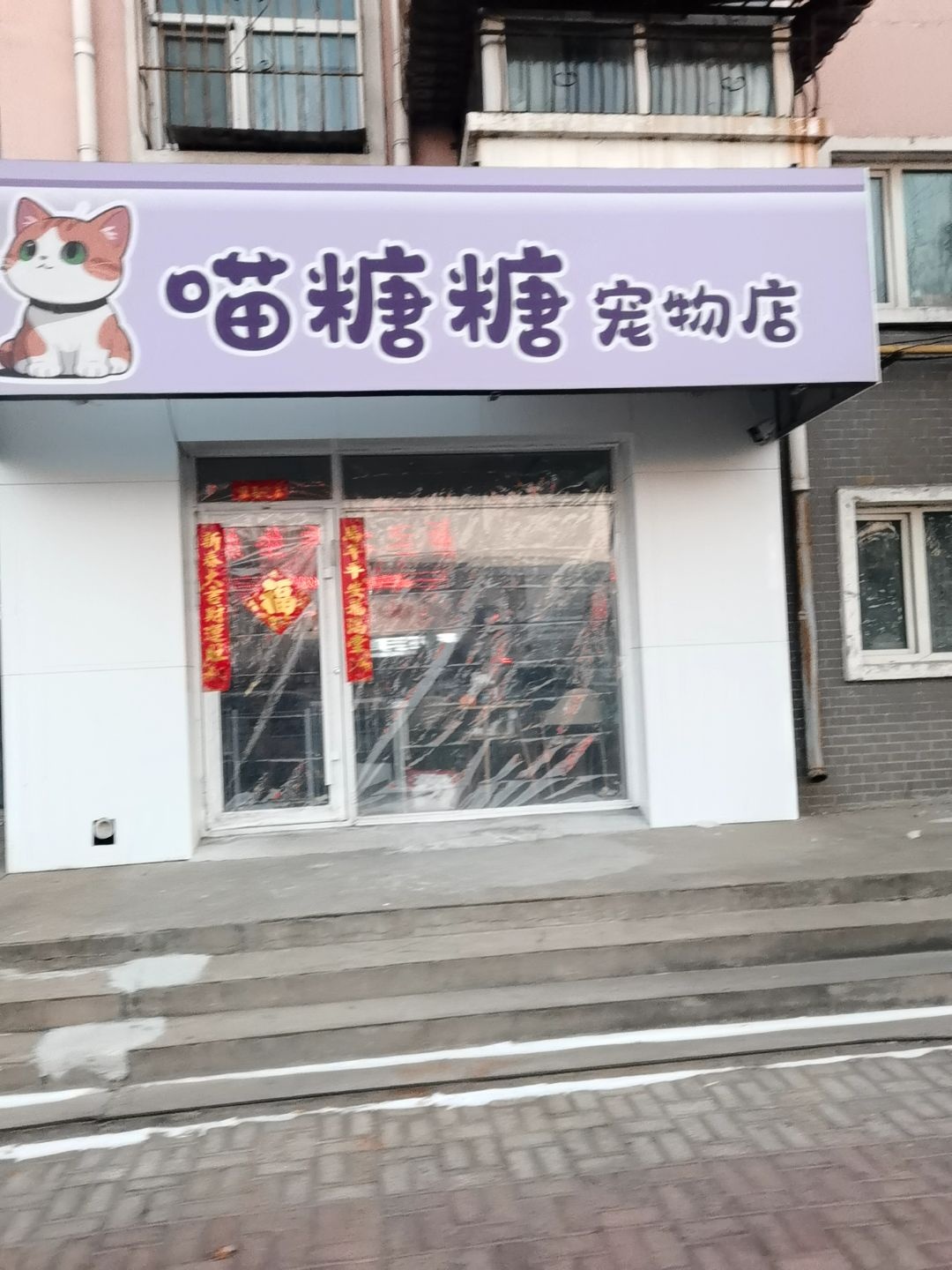 喵糖糖宠物店