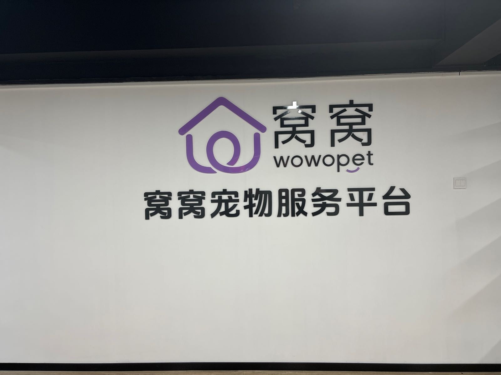 窝窝宠物(摩尔莲花店)