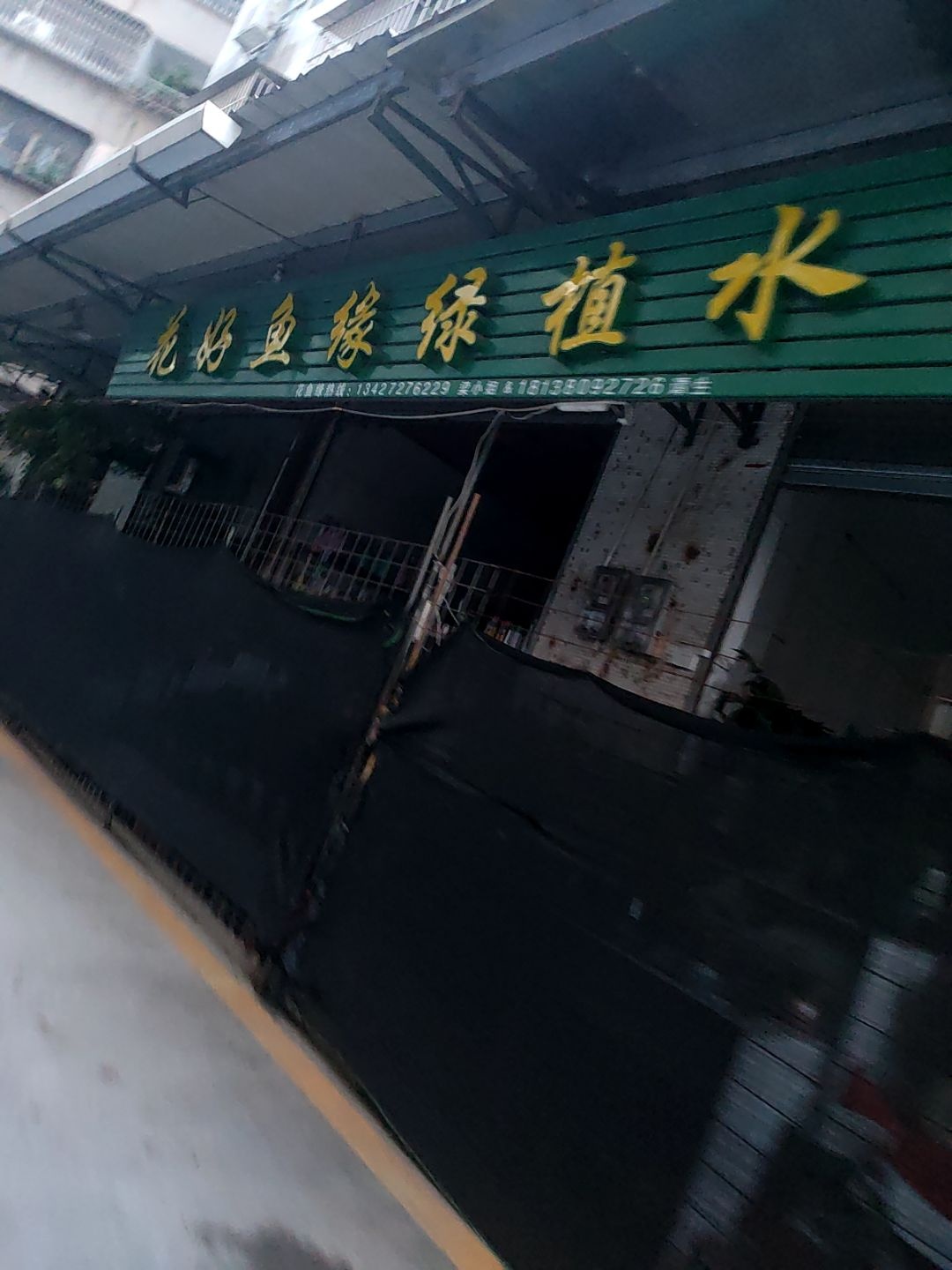 花好鱼缘绿植水族店