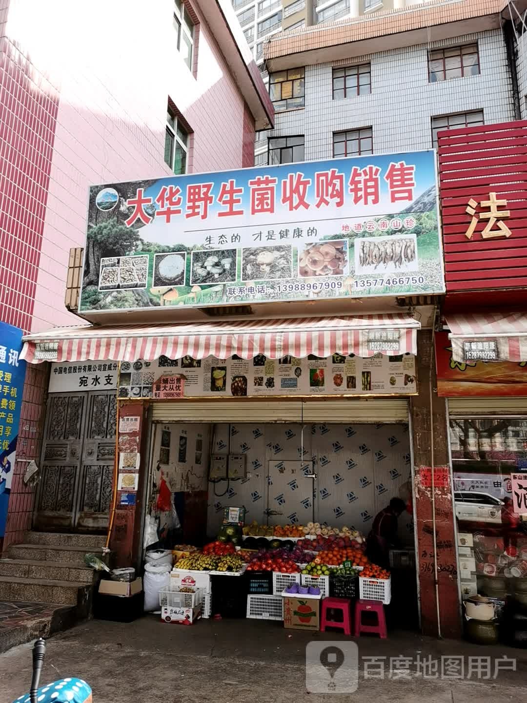大华野生菌收购销售