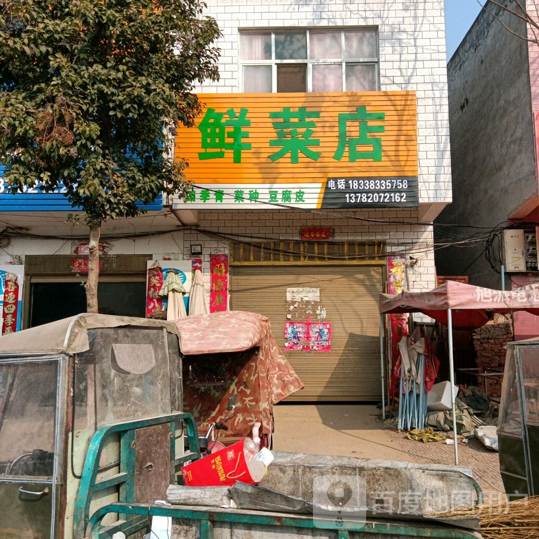 唐河县黑龙镇鲜菜店