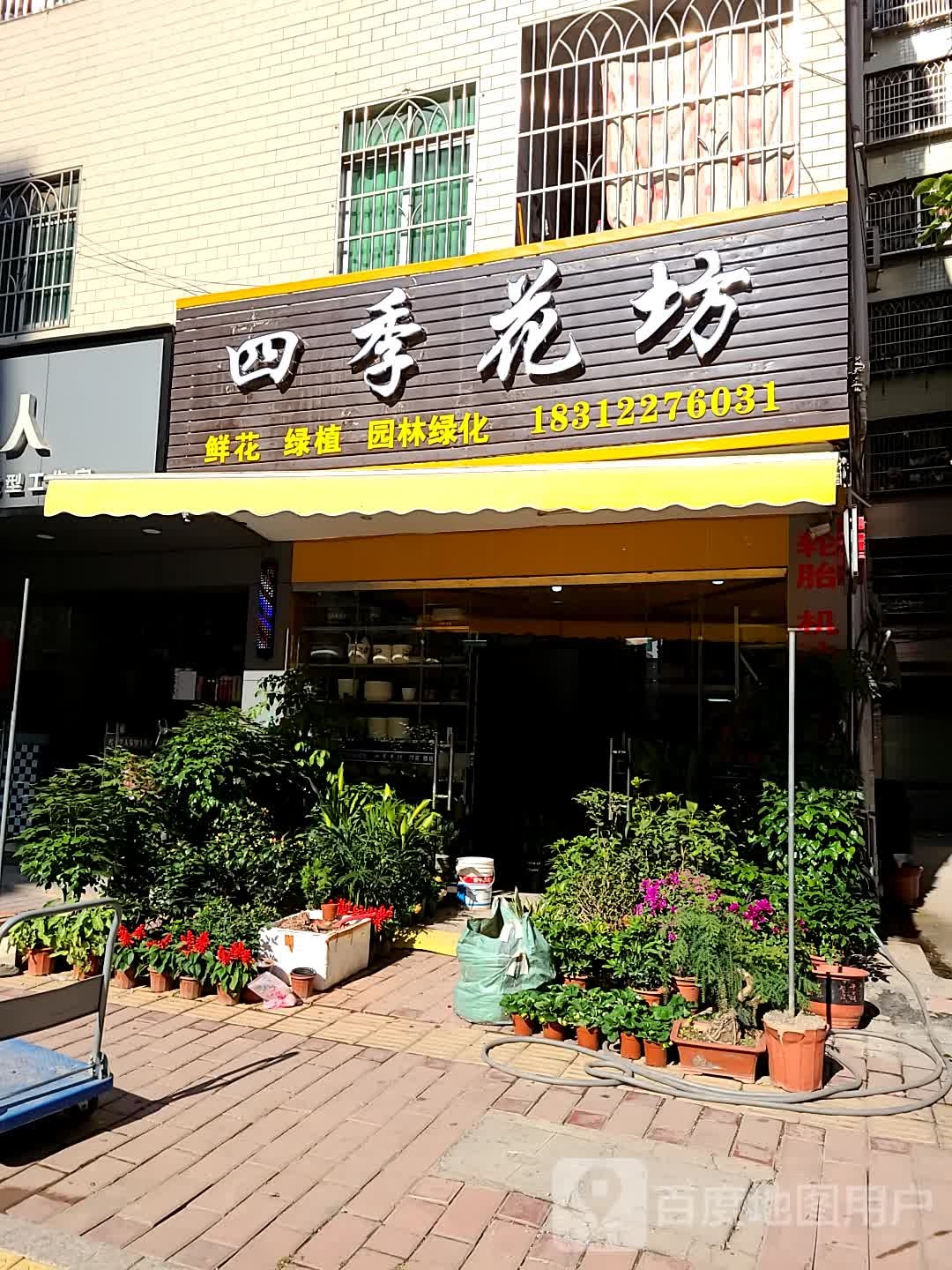 四季邢花坊(龙川县店)
