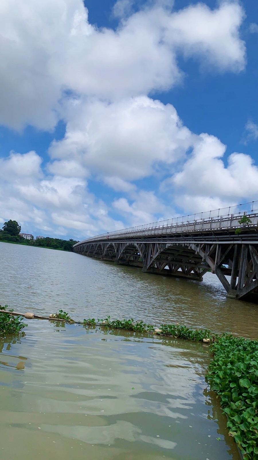 大桥钓鱼俱乐部