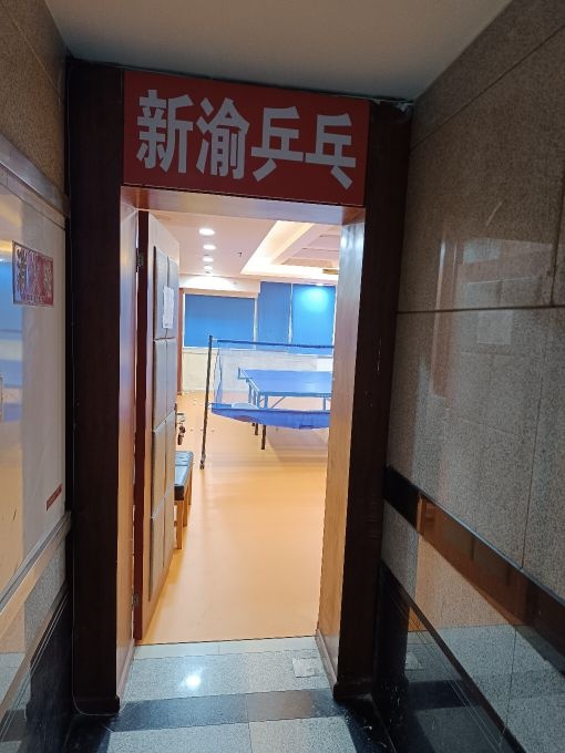 新渝乒乓球