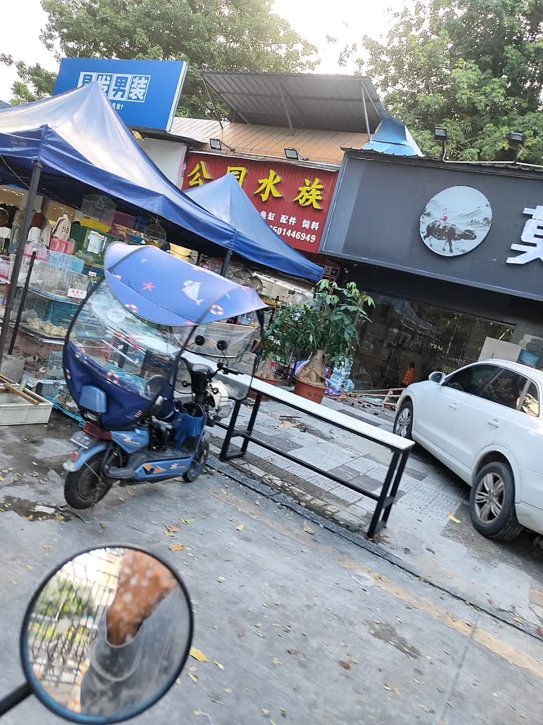 公园水族
