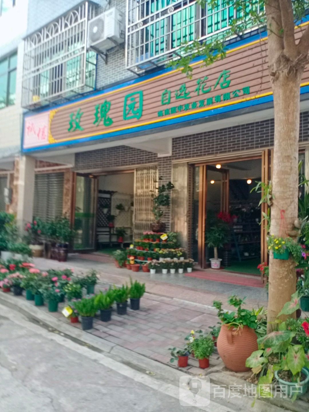 玫瑰园自选花店