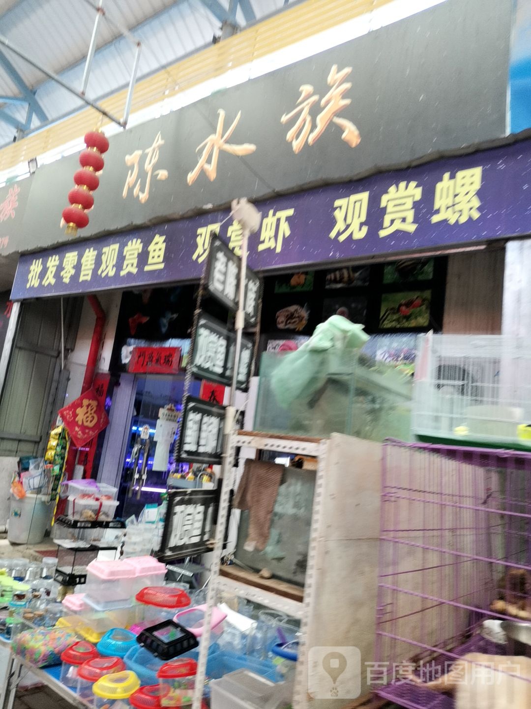 老陈水族(方舟综合市场店)
