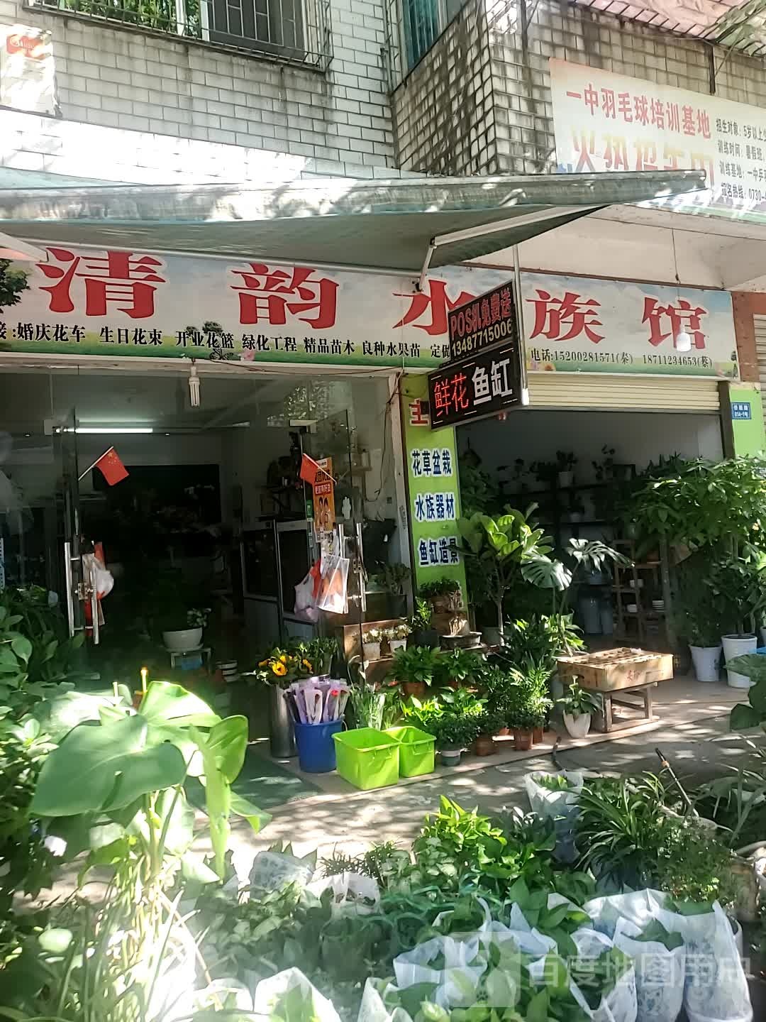 清韵水族馆