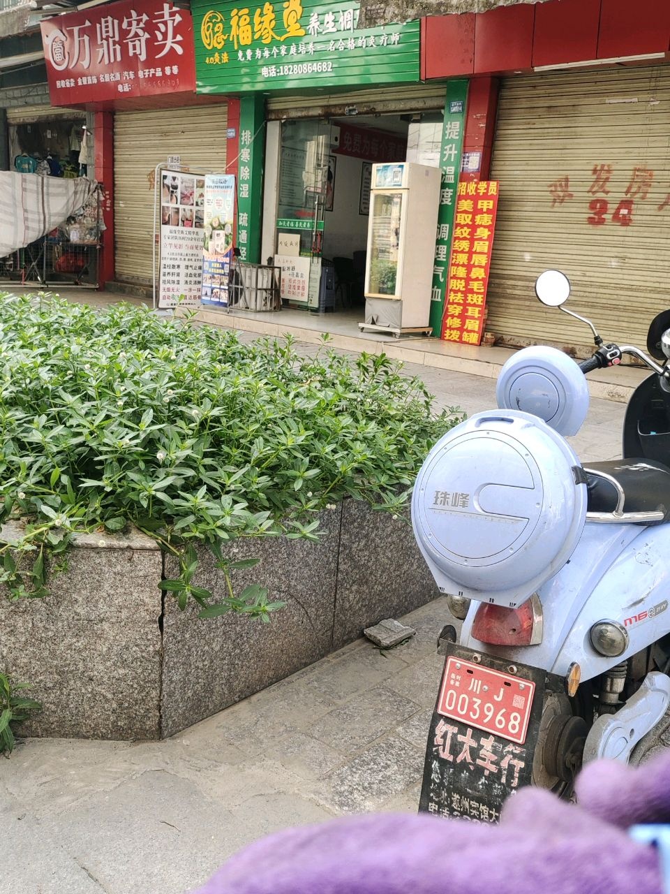 万鼎寄卖