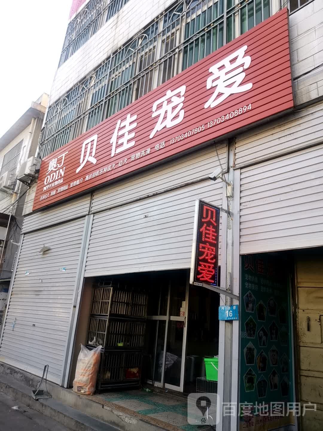 奥丁贝佳宠爱