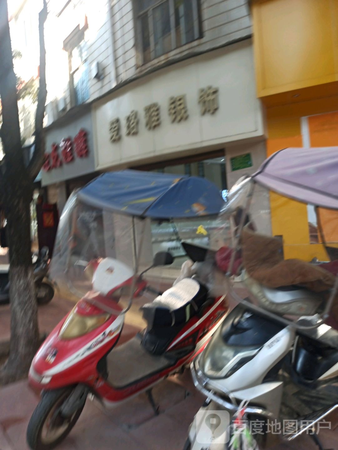爱路雅银氏