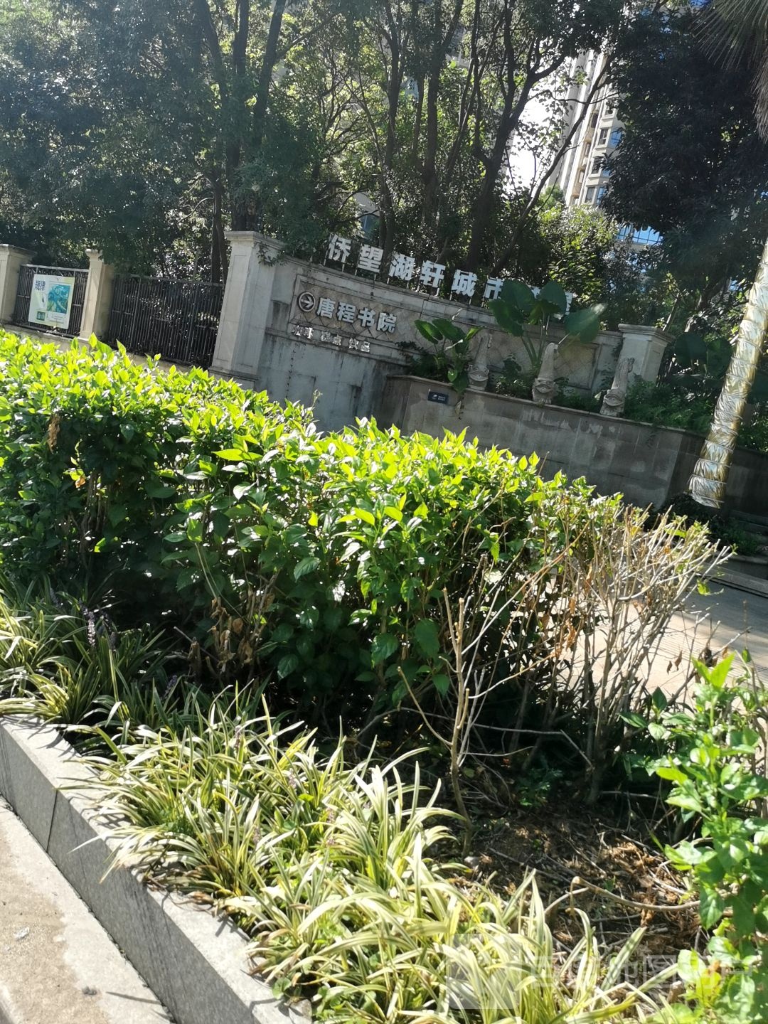 东侨望湖轩城市书屋(唐程·御品店)