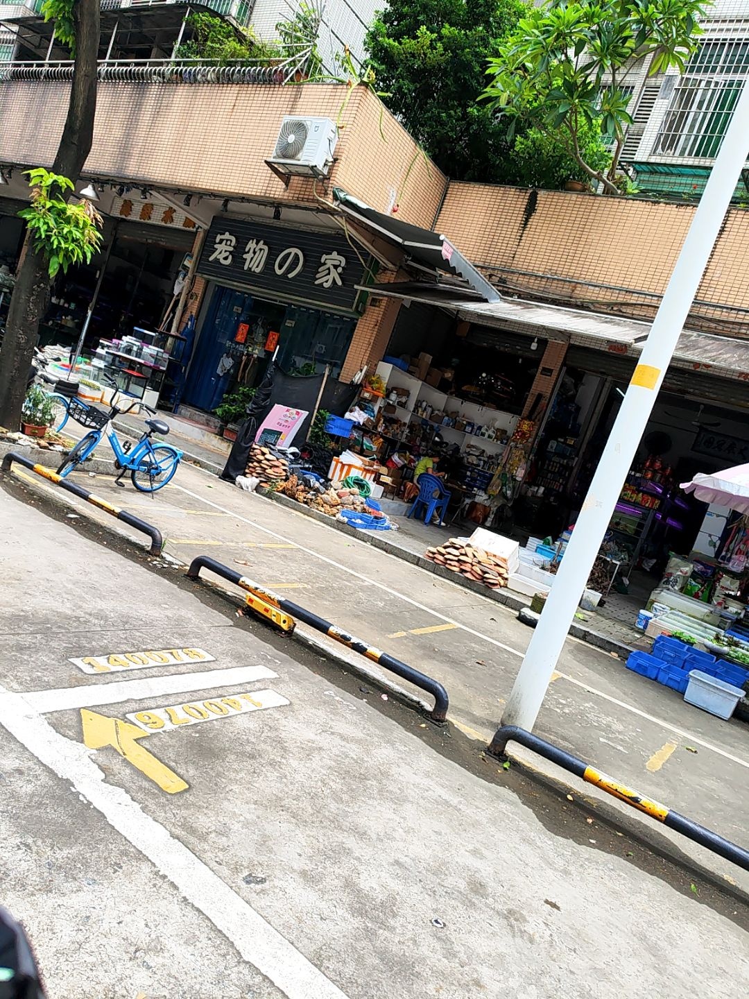 宠物的家(东湖府邸店)