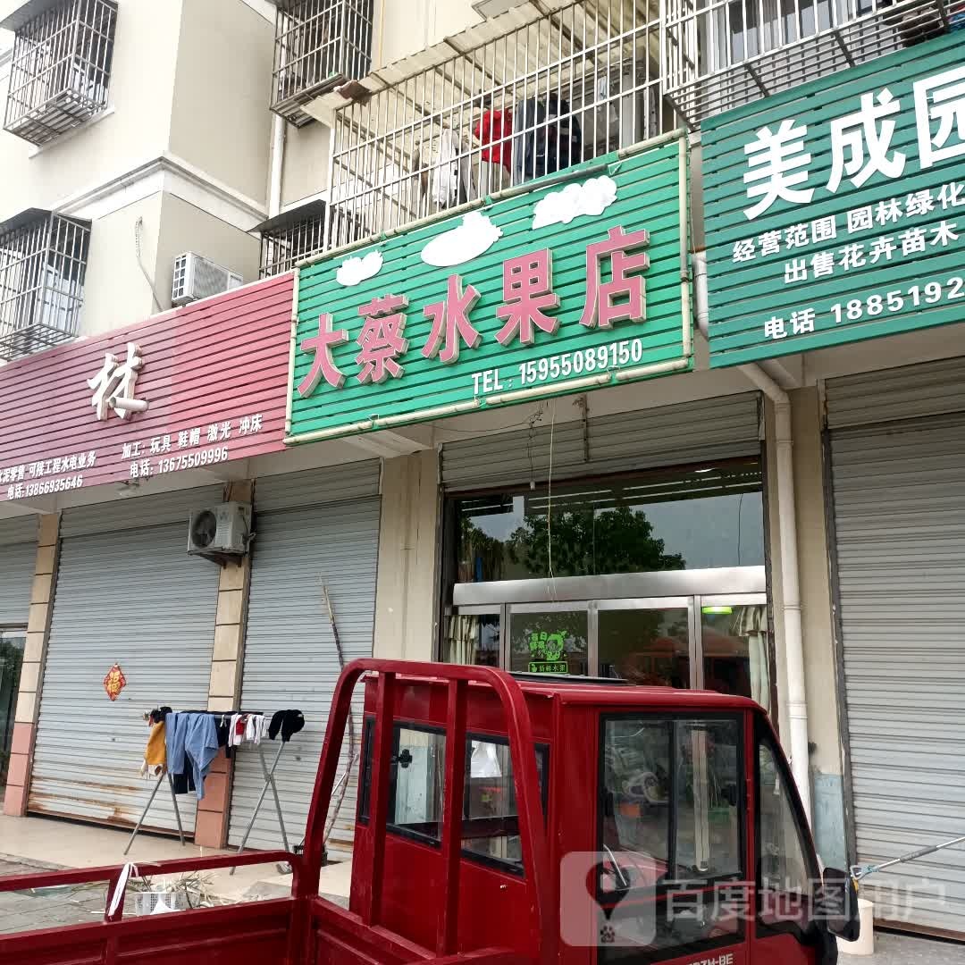 大蔡水果店