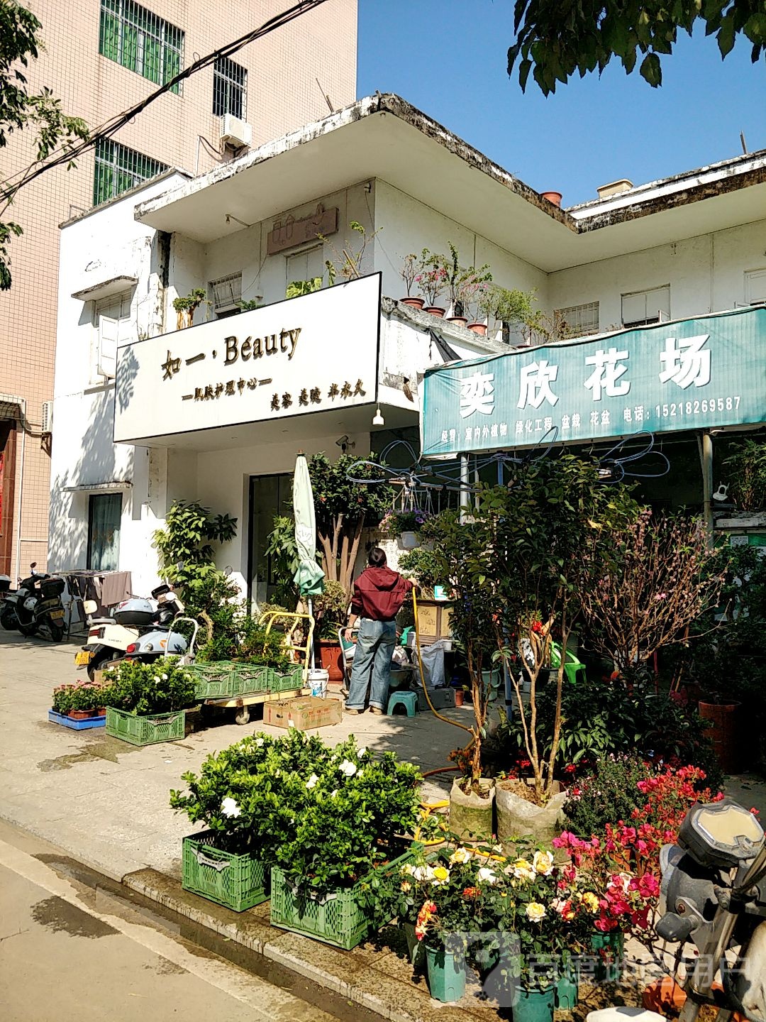 湛江市吴川市新城路80号奕欣花场