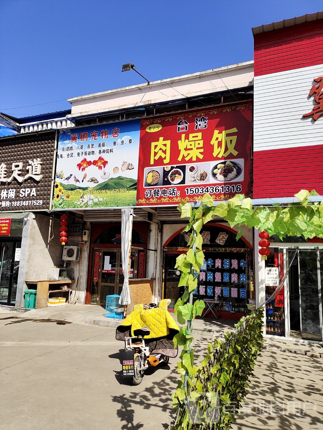 翼鹏宠物店