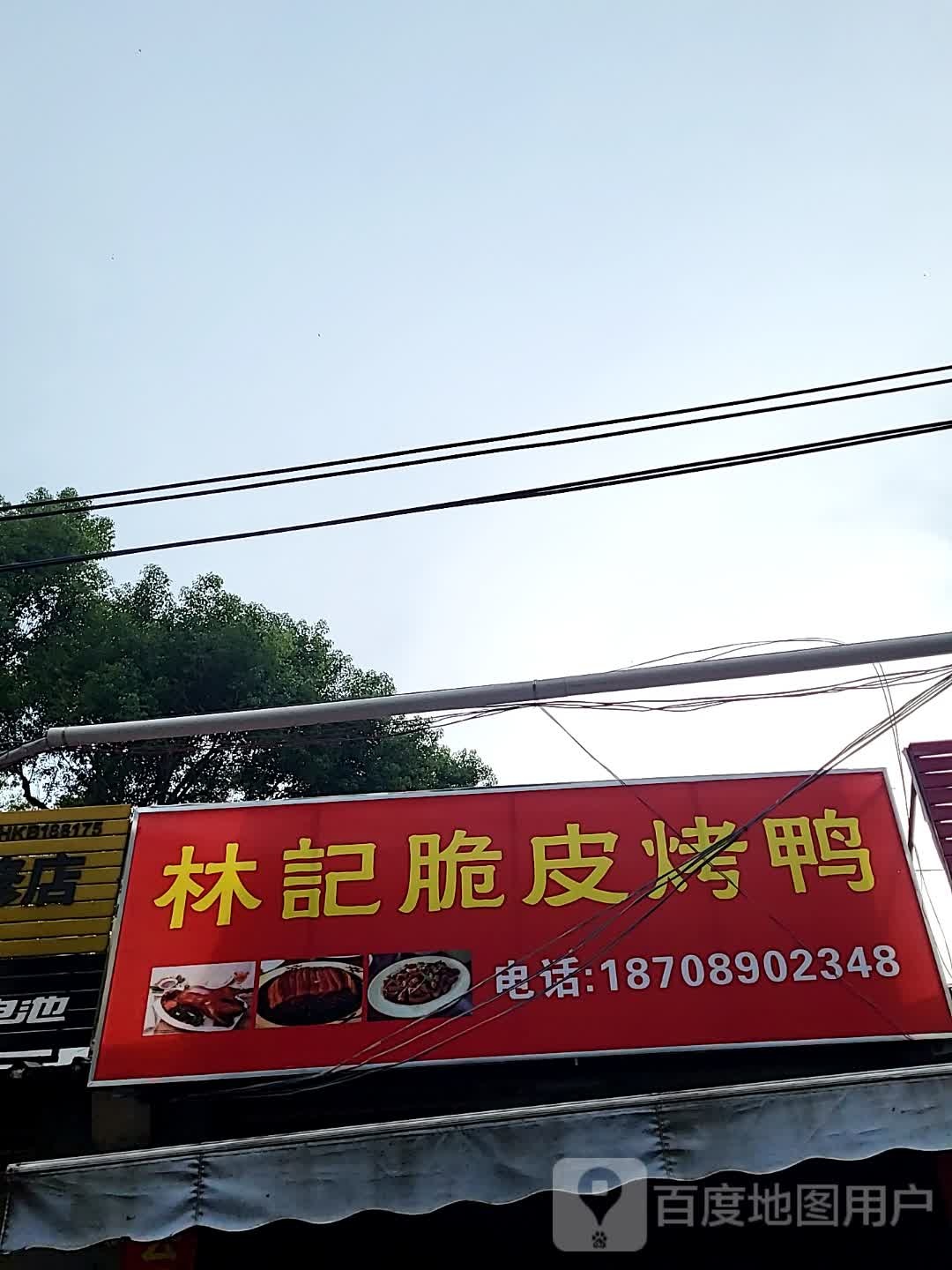 林记脆皮烤鸭(儋州夏日国际商业广场店)