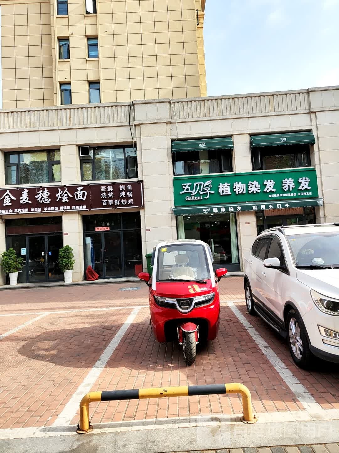 金麦穗烩面