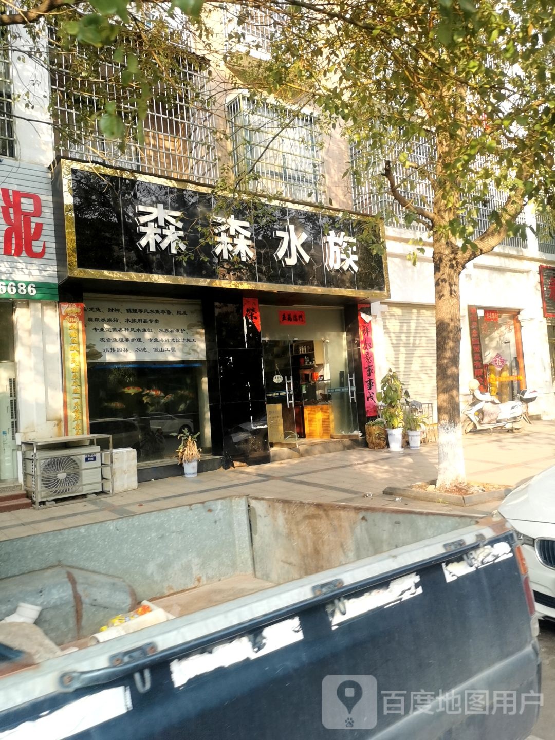 森森水族(万龙巷店)