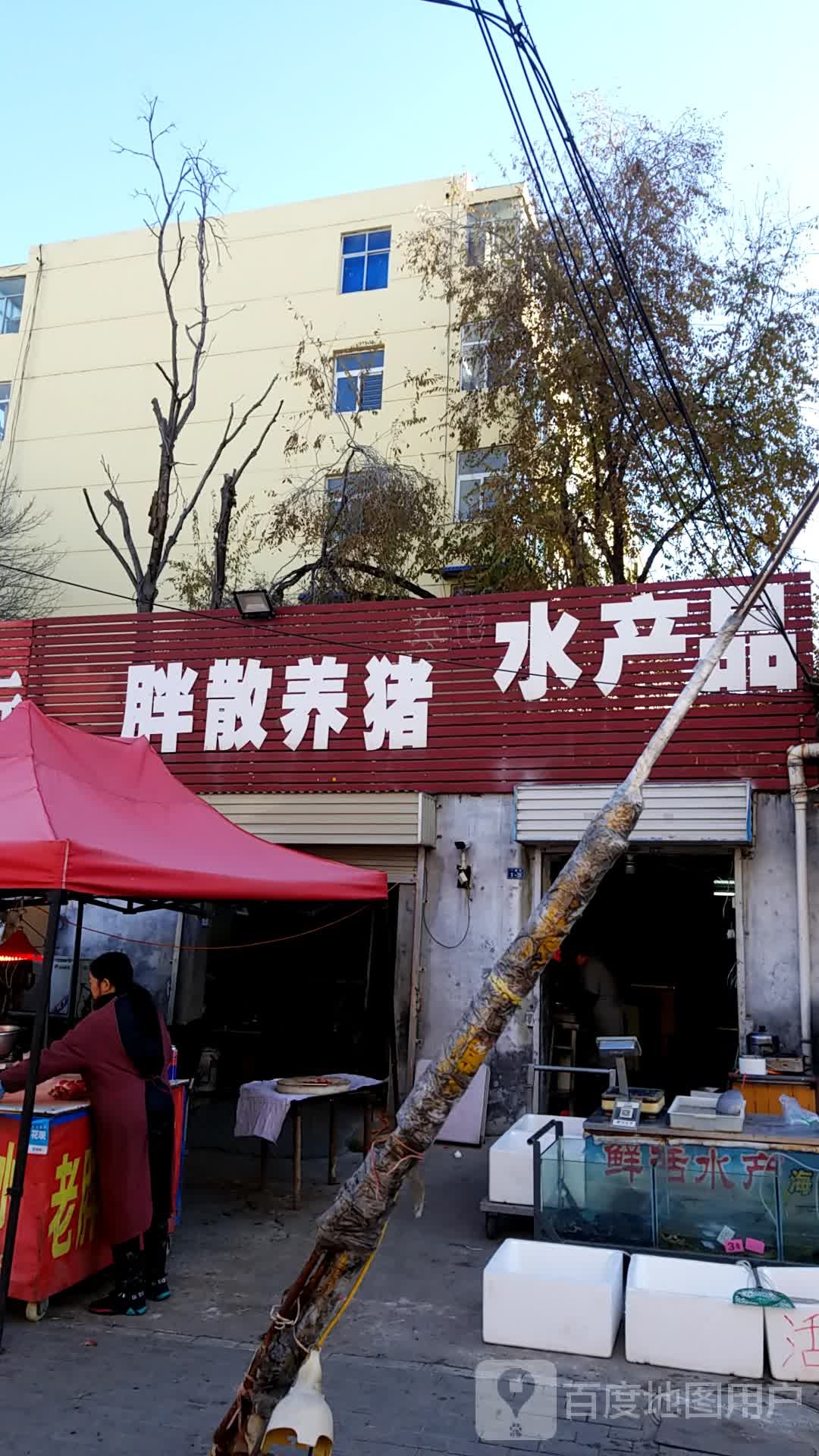 张记水产品