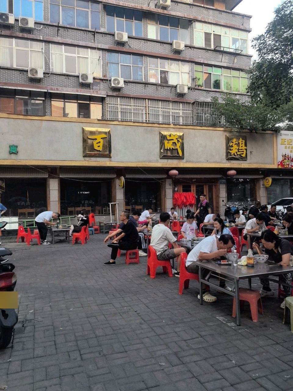 百岁鹅