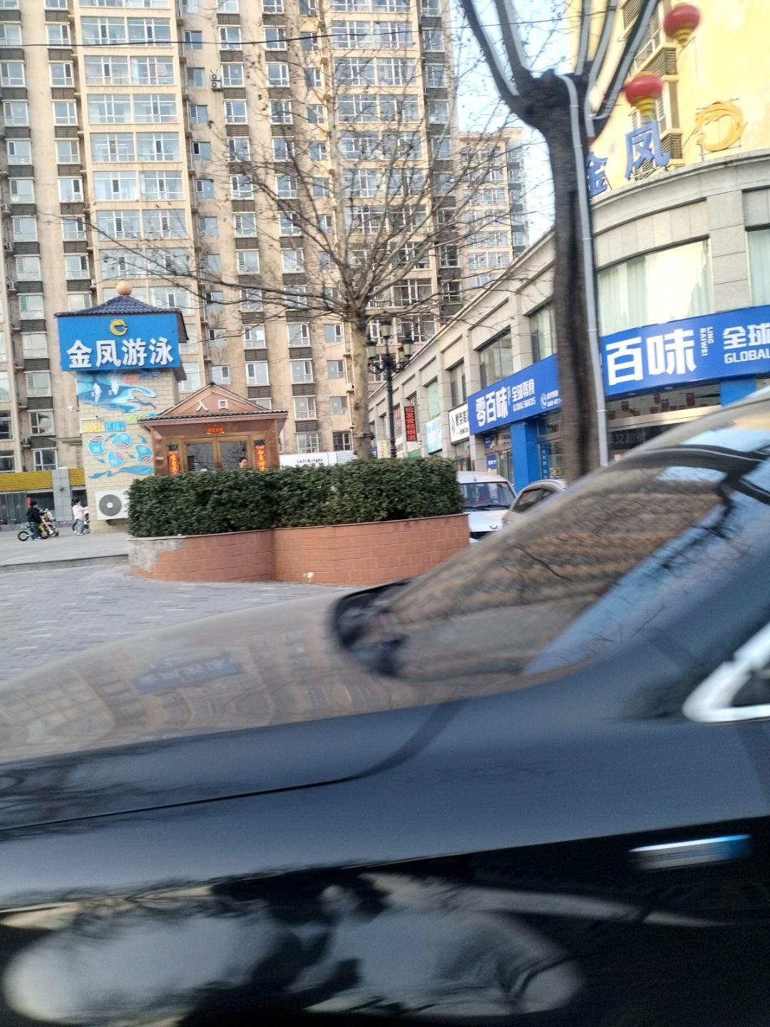 金凤游泳