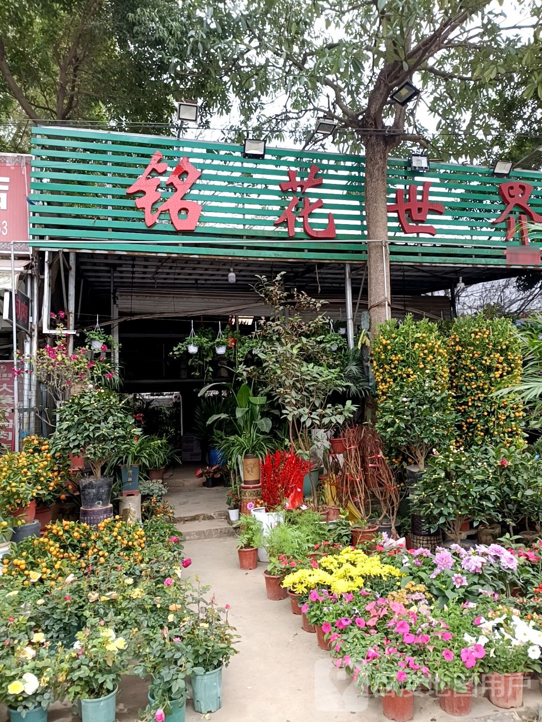 铭花世界