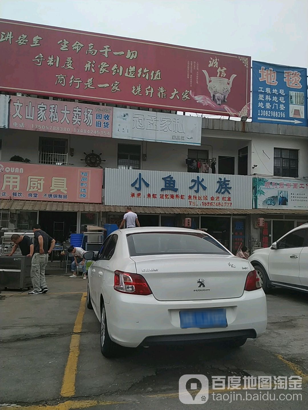 小鱼水族