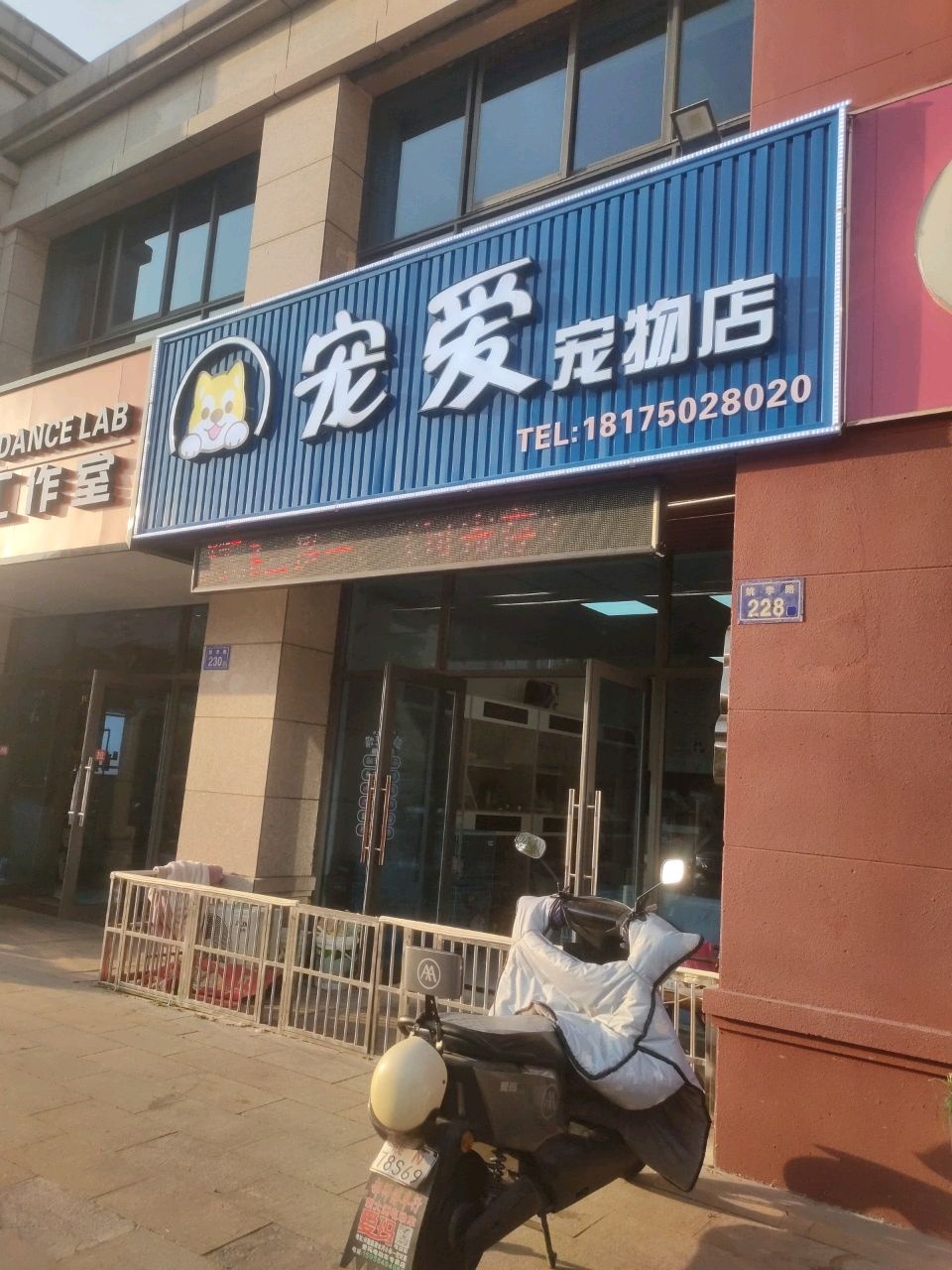 宠爱宠物店