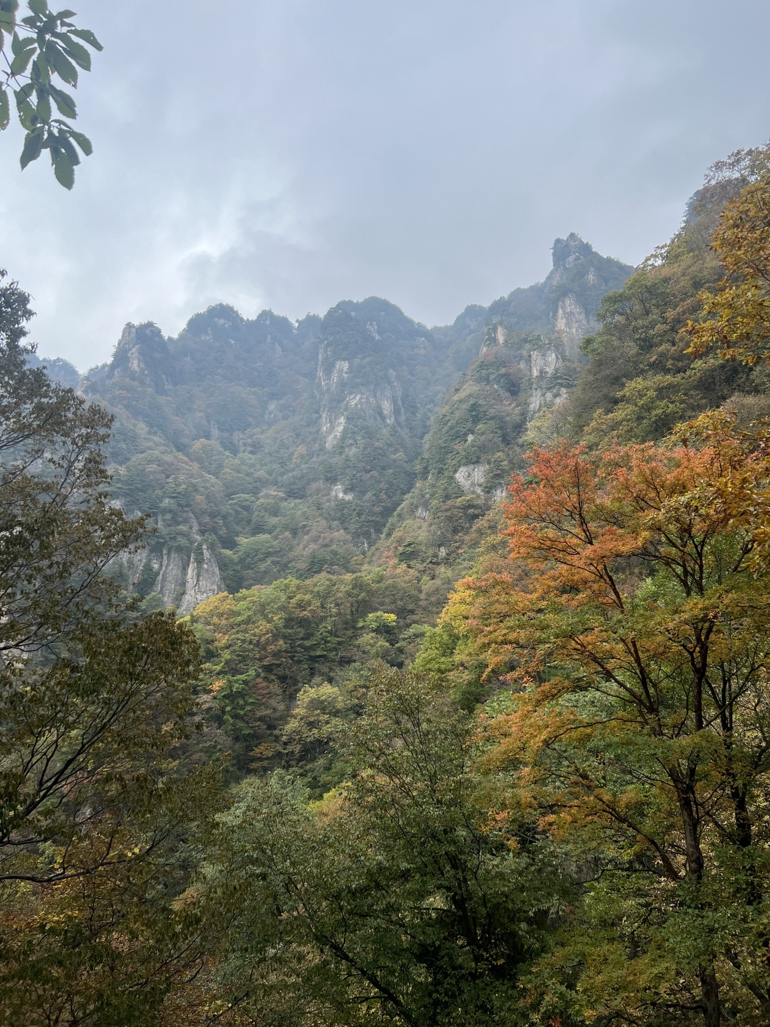 王顺山国家森林公园