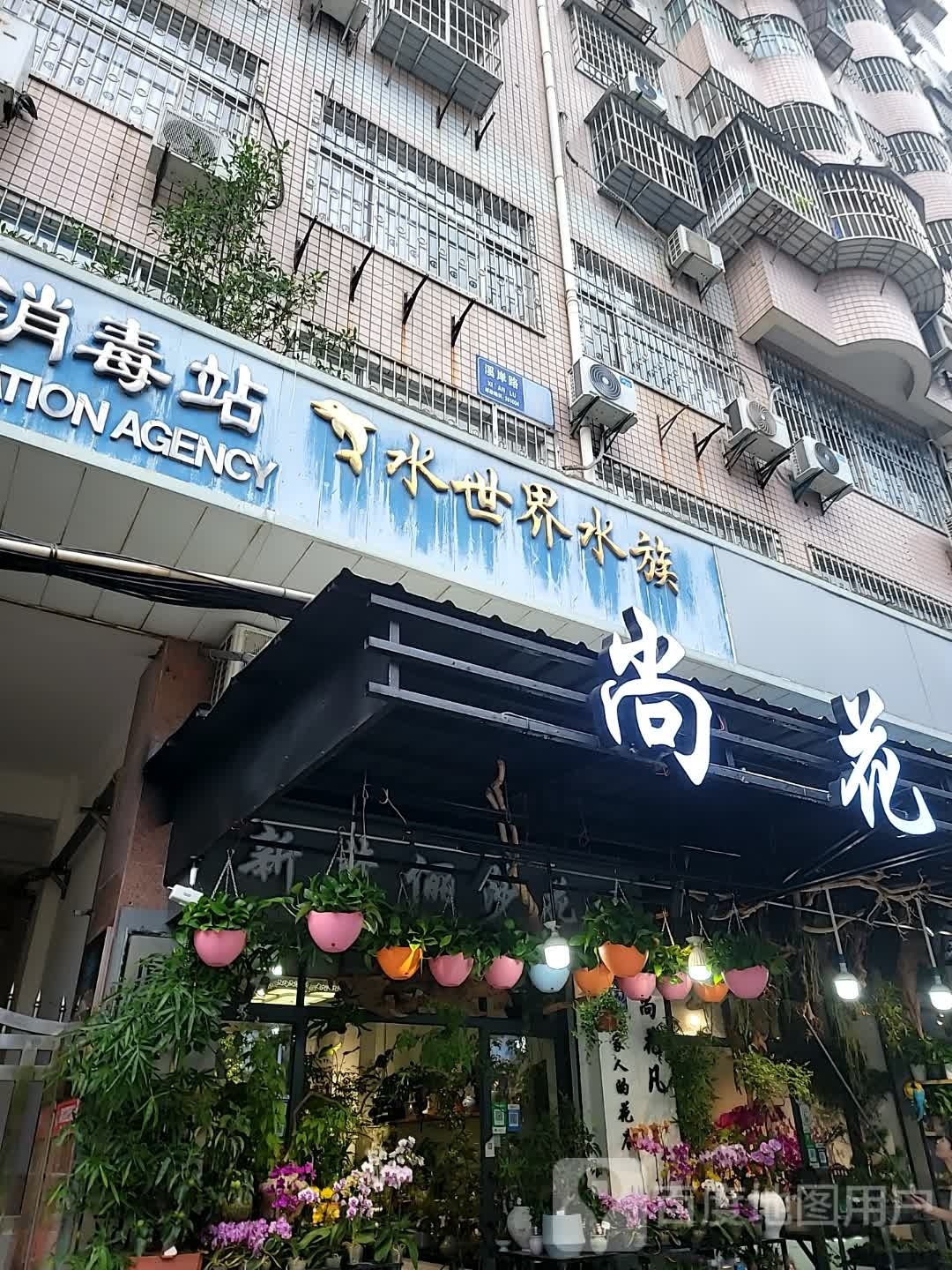 水世界水族(溪岸店)