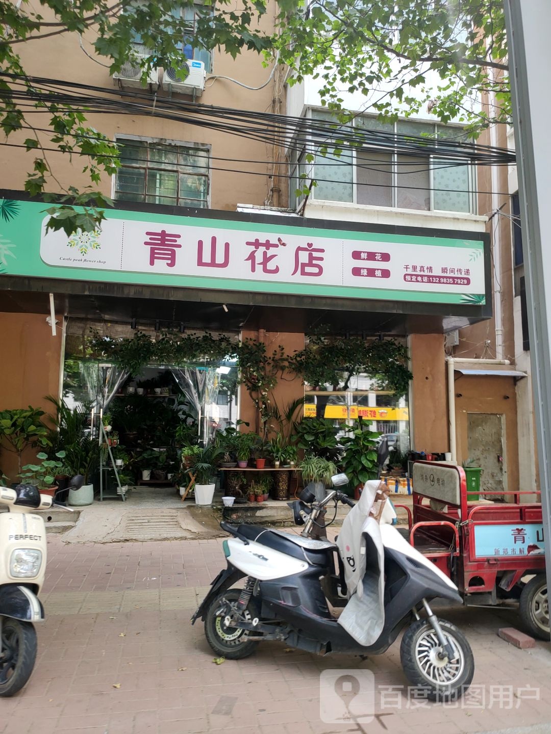 新郑市青山花店