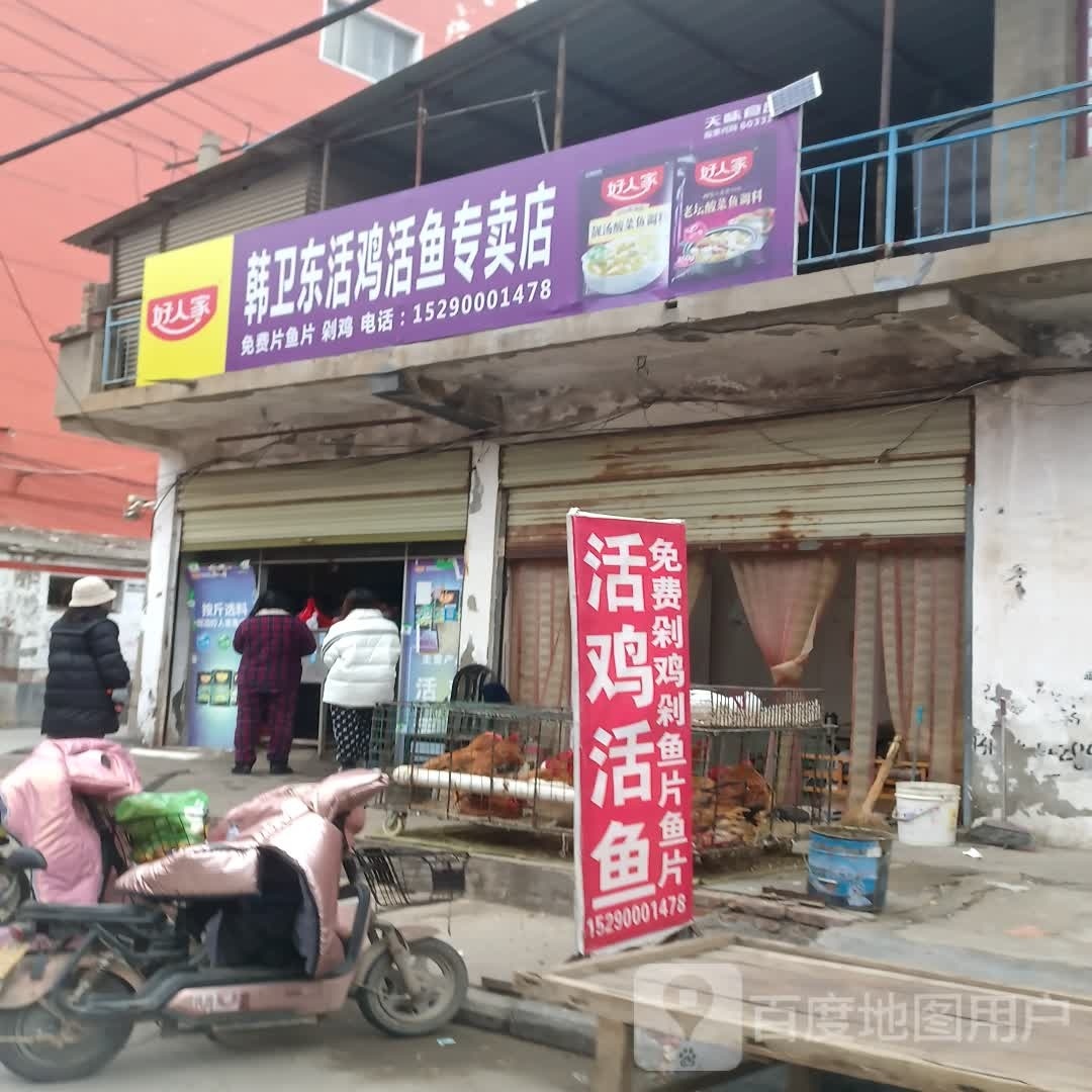 项城市韩卫东活鸡活鱼专卖店