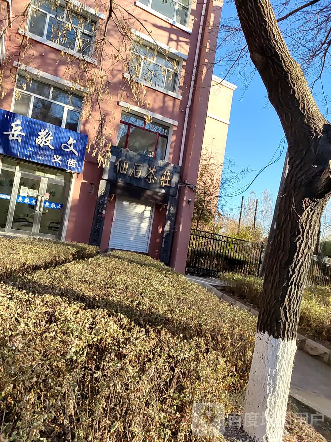 岳敬文义齿