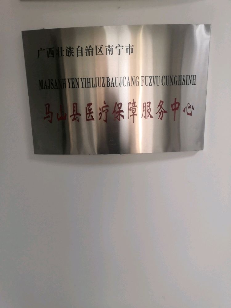 广西壮族自治区南宁市马山县医疗保障局