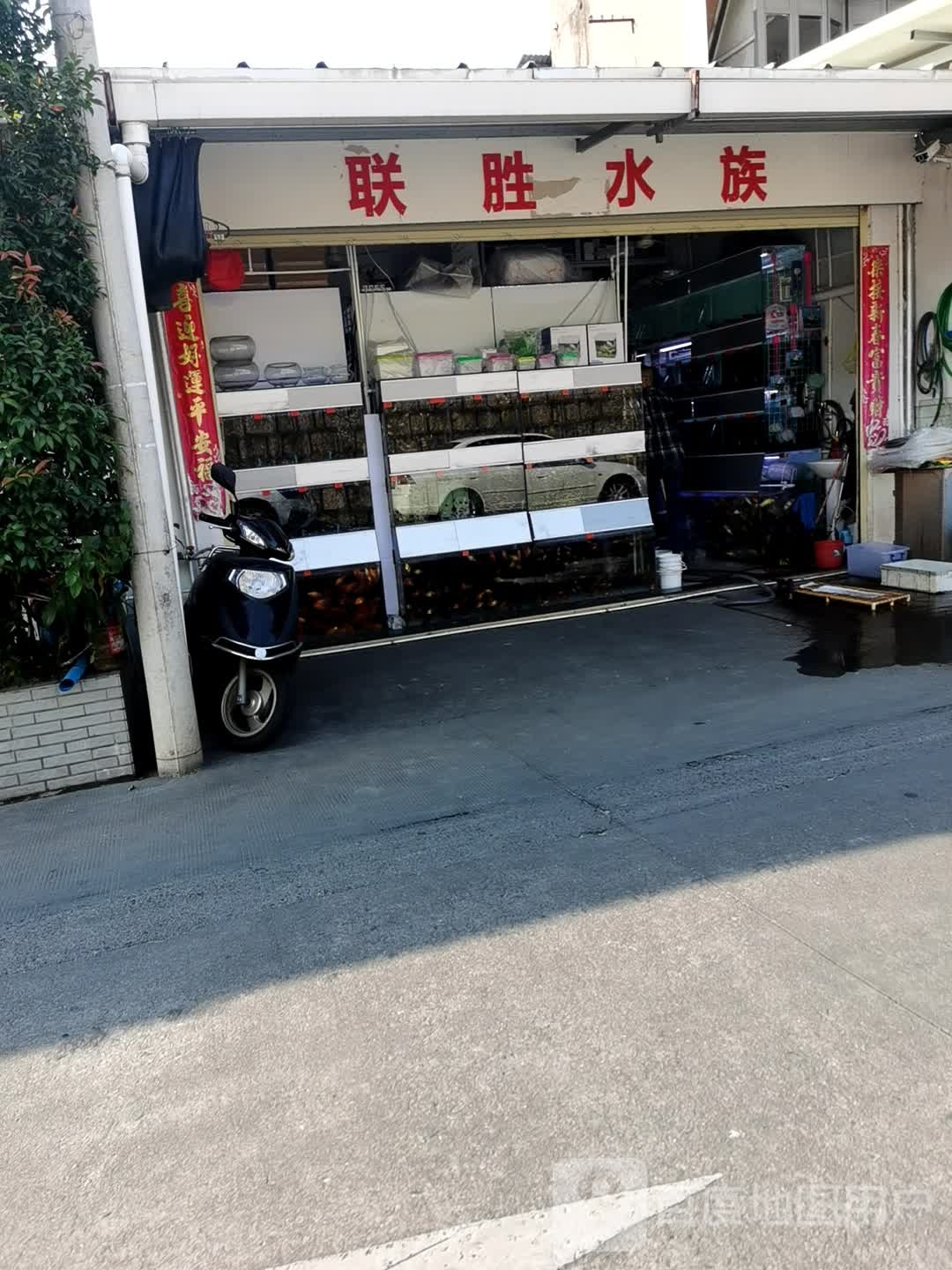 联胜水族