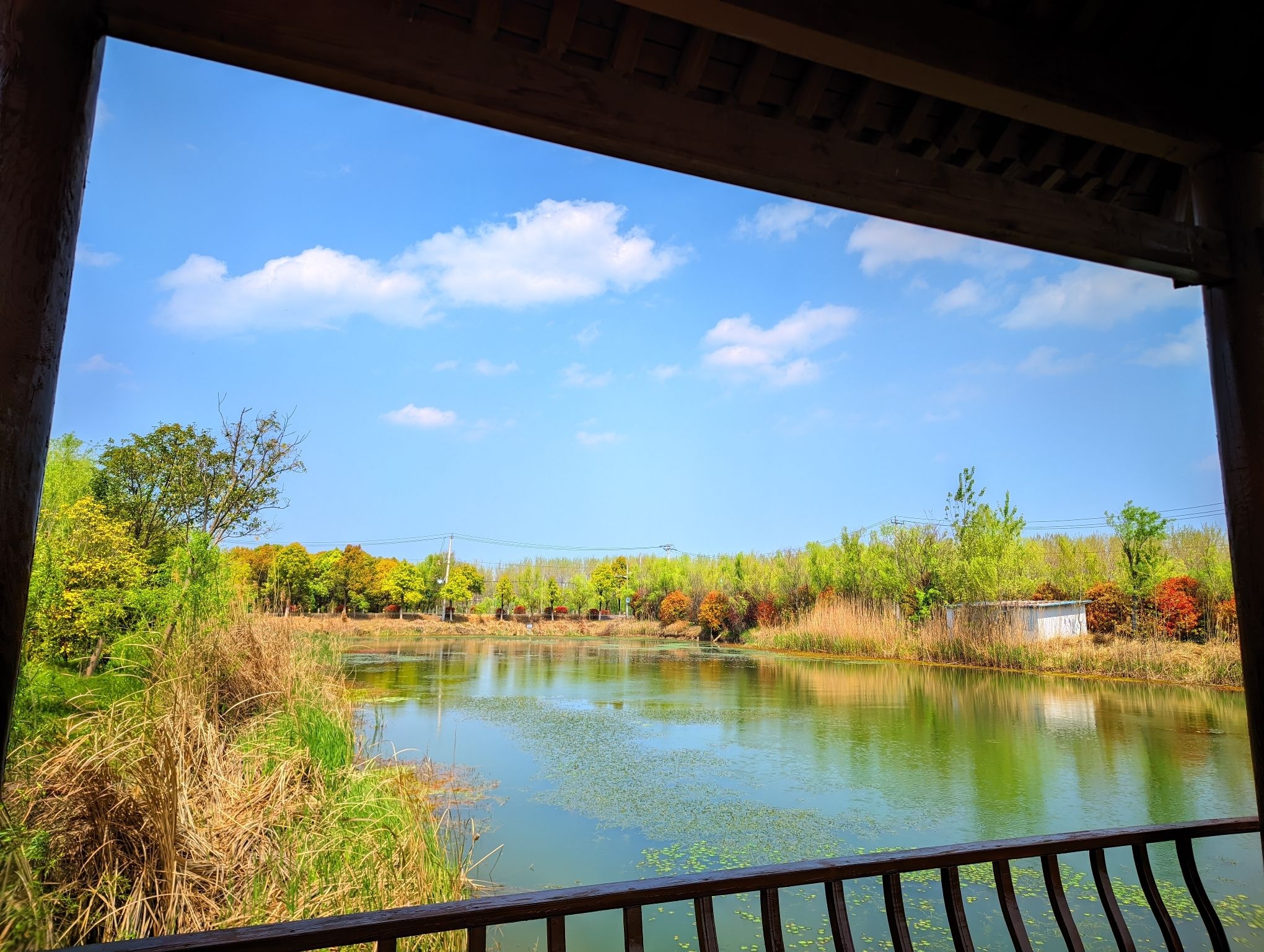 利辛县西淝河湿地公园