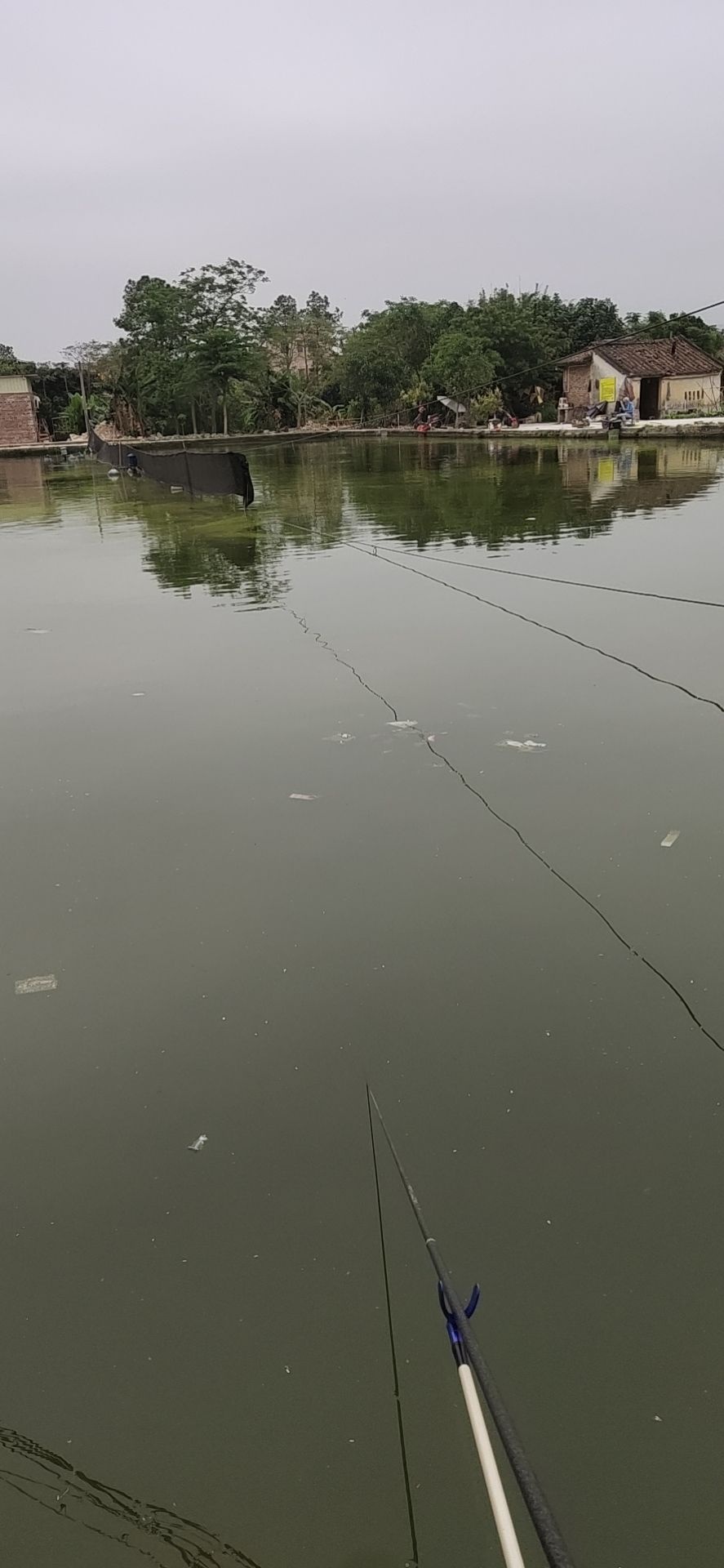 古州休闲钓鱼场