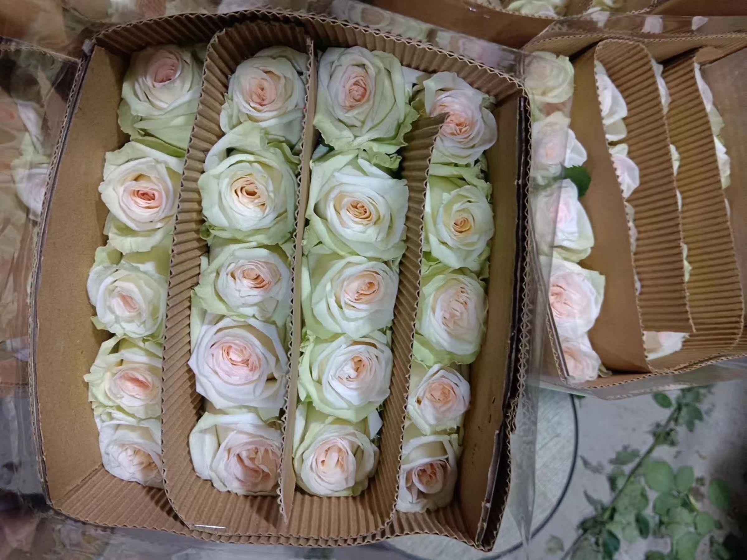 百花齐放