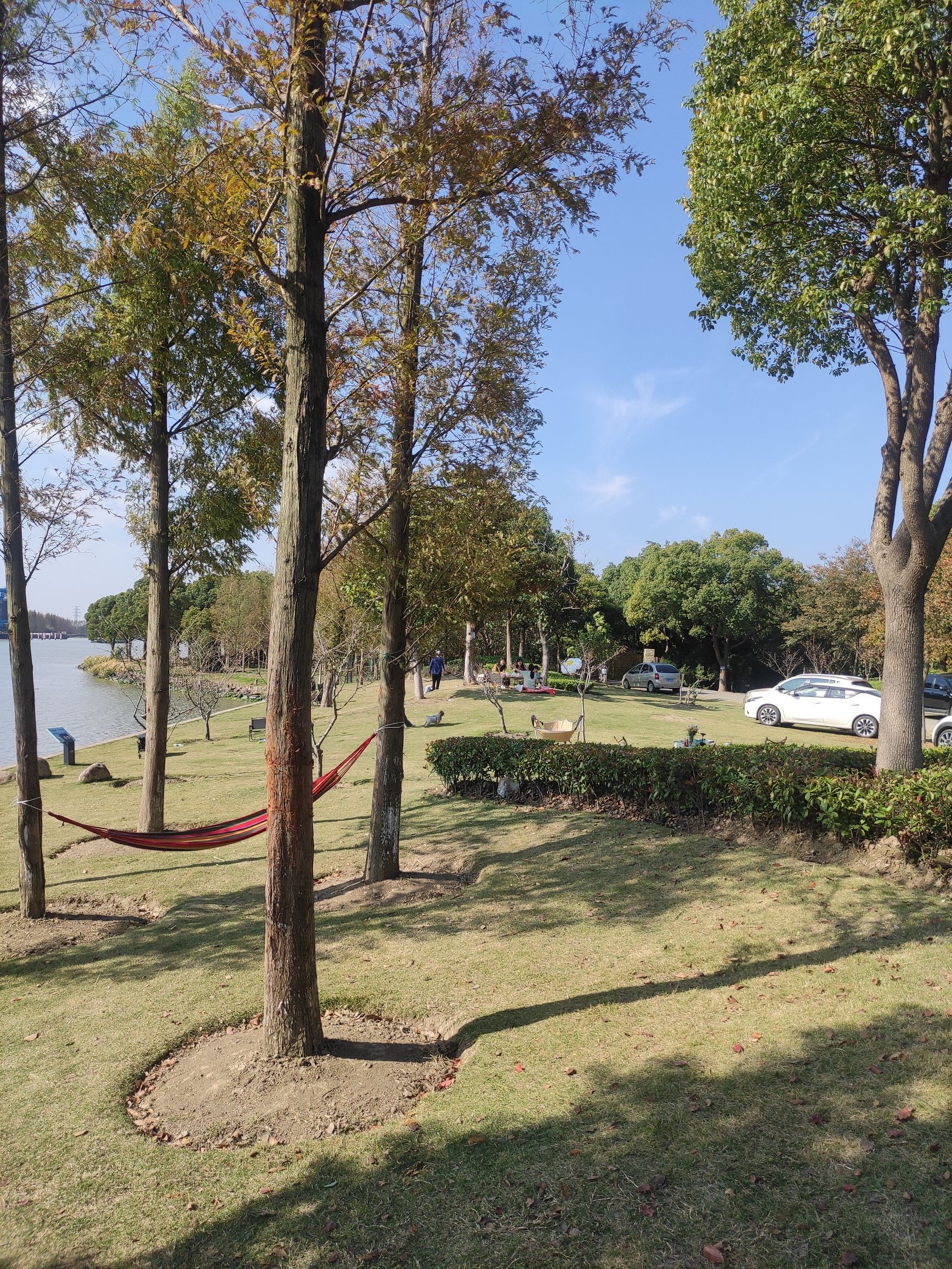 太浦河白渔荡湿地