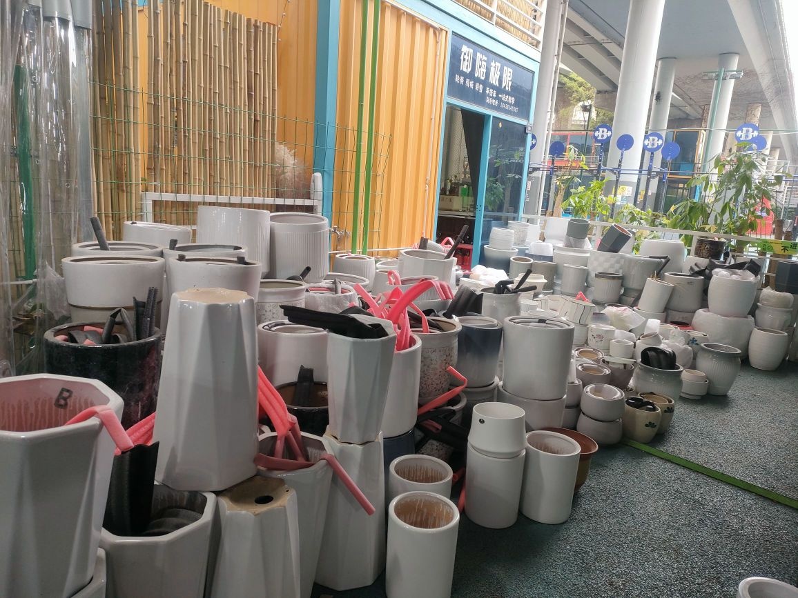 双桥花卉水族市场