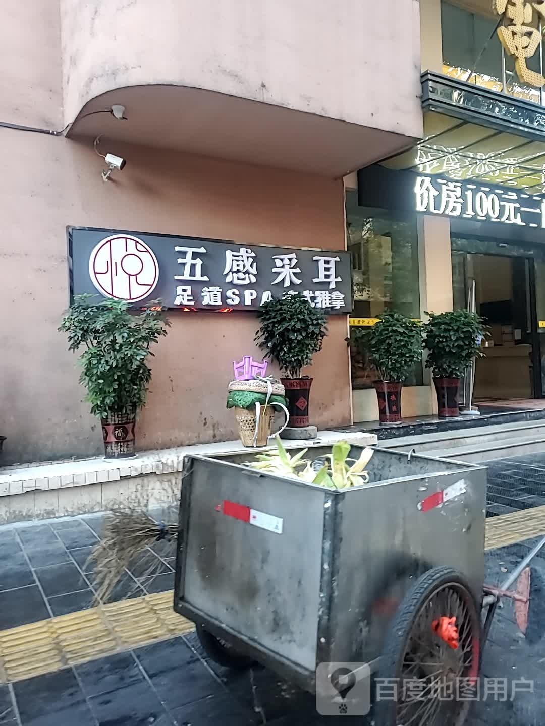 五感采尔