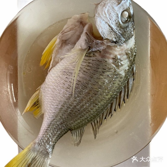 陈鱼鱼原鲜态野生海鲜