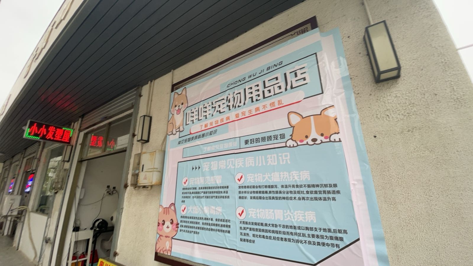 咩咩宠物用品店