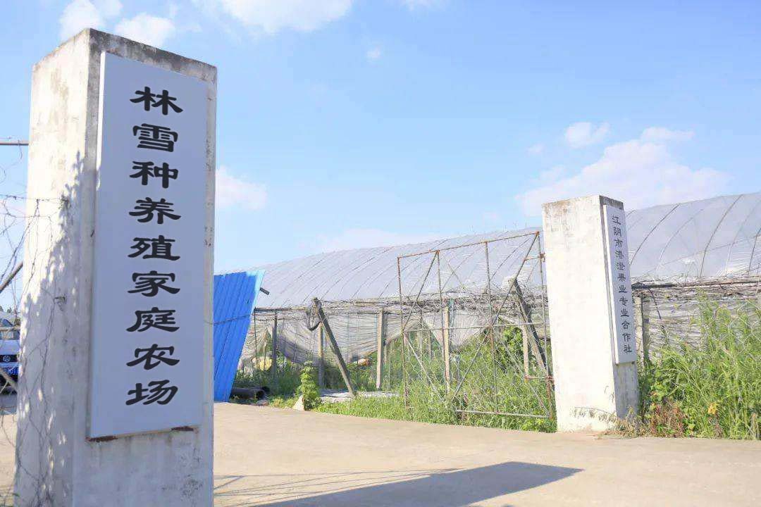 林雪种养殖家庭农场
