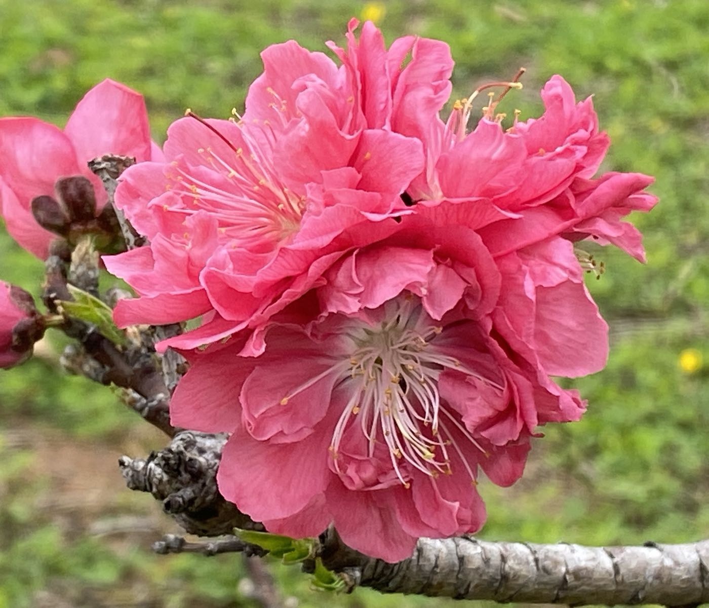 十八罗汉山森林公园