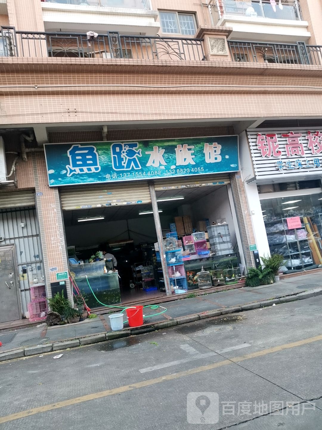 鱼跃水族馆(乐德居店)