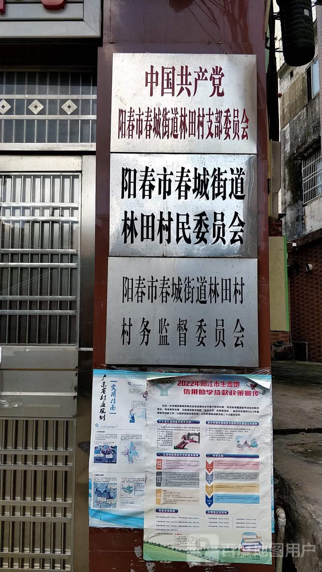 阳春市春城街道林田村村务监督委员会