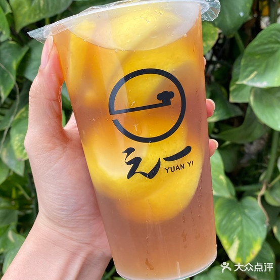 元一料理