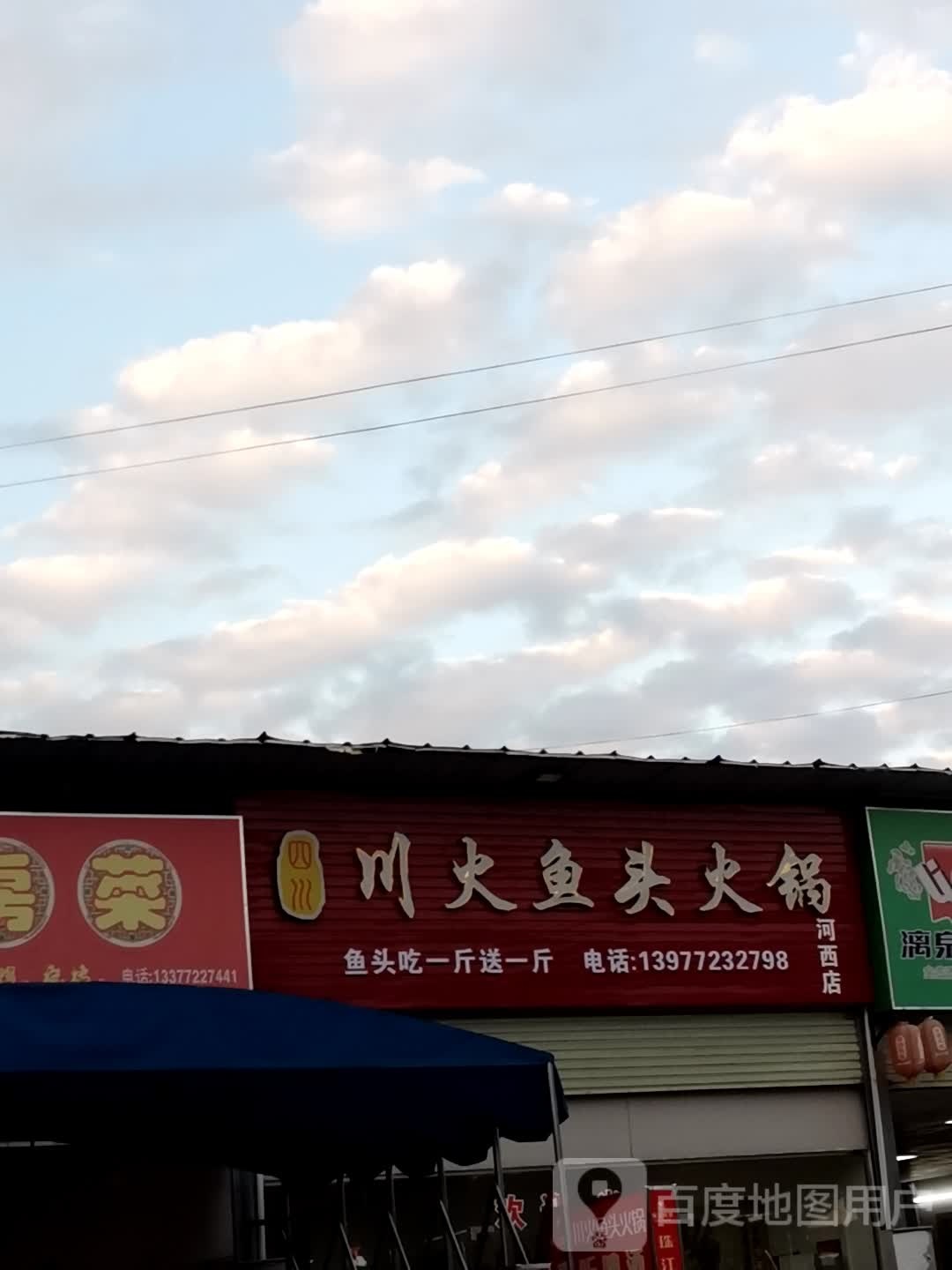 川火鱼头活过